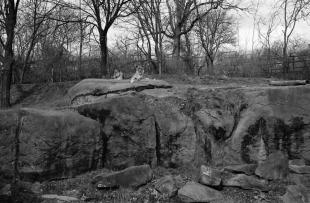 Canada_201102_g45_hp5_24