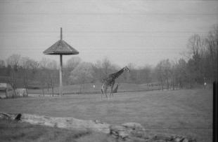 Canada_201111_g45_hp5_25