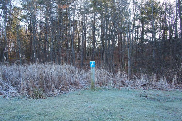 Hibernating Campground