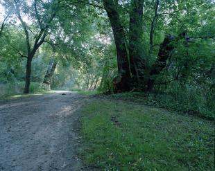 Canada_201110_rz67_portra160_05