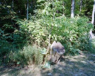 Canada_201108_rz67_400vc_3_04