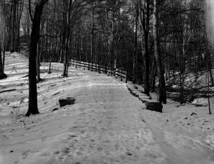 2016_ga645_acros_100_1_03