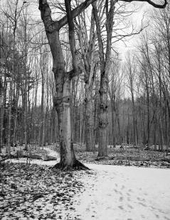 2016_ga645_acros_100_2_01