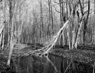 2016_ga645_acros_100_2_07