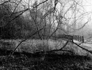 2016_ga645_acros_100_2_08