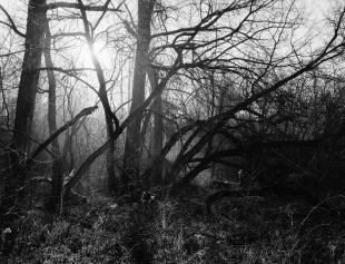 2016_ga645_acros_100_2_10