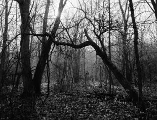 2016_ga645_acros_100_2_14