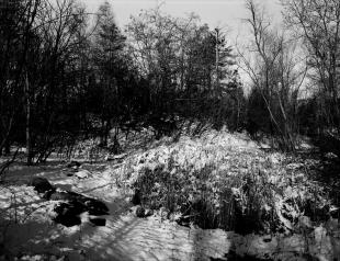 2016_ga645_acros_100_4_13