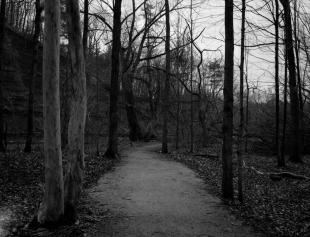 Canada_201410_ga645_acros100_01