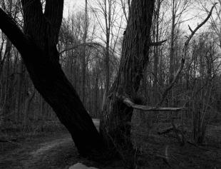 Canada_201410_ga645_acros100_02