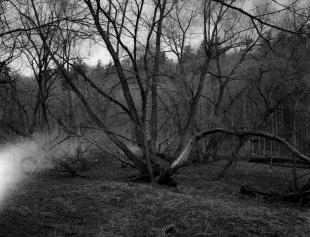 Canada_201410_ga645_acros100_04