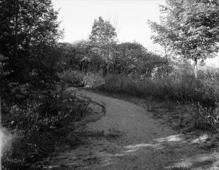 Canada_201410_ga645_acros100_09