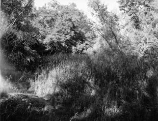 Canada_201410_ga645_acros100_10