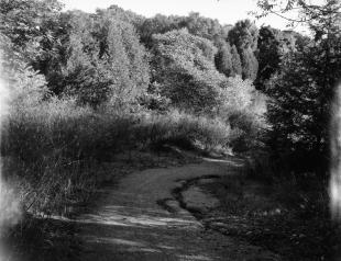 Canada_201410_ga645_acros100_11