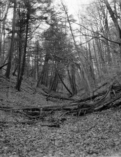 Canada_201410_ga645_acros100_14