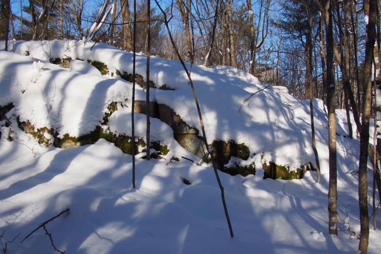 Rock-Pond-Trunk