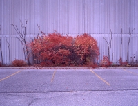 Novermber? 19_canada201103ga645100g12.jpg