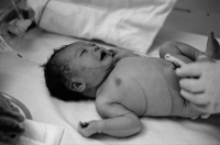 26_canada08102baby04.jpg